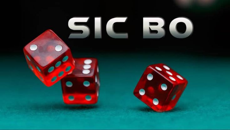 si 5